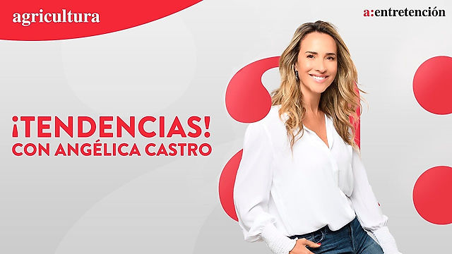 Entrevista con Angélica Castro (pt 3)